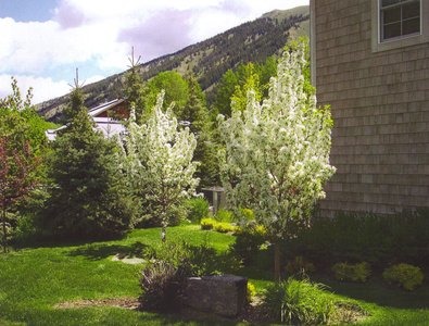 gallery/medium/202 (17)-Gardeners-Ketchum-Idaho.jpg